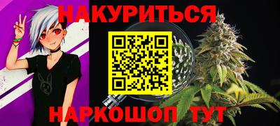 сатива Брянск