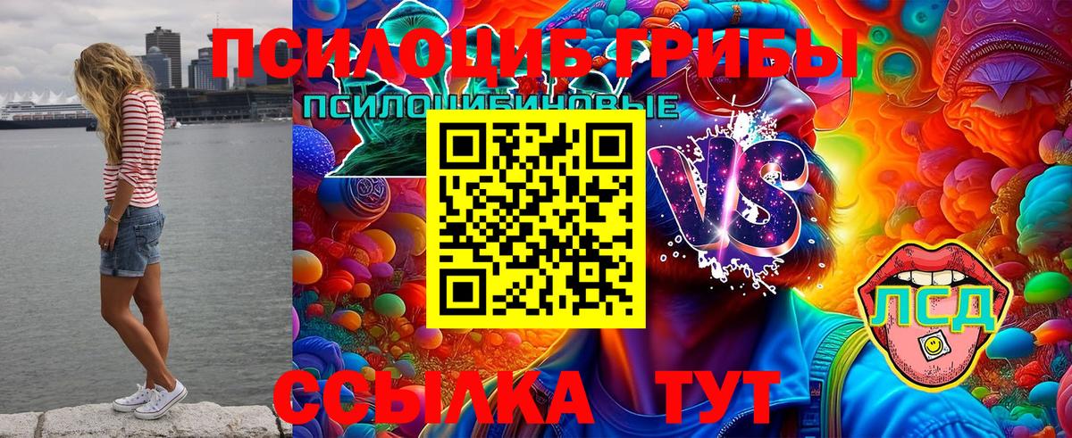 купить закладку  Вход с VPN  Йошкар-Ола  Галлюциногенные грибы Cubensis 