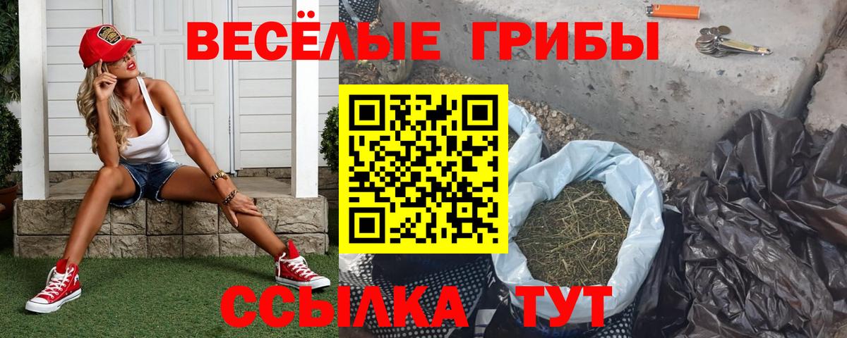 Галлюциногенные грибы мухоморы Йошкар-Ола